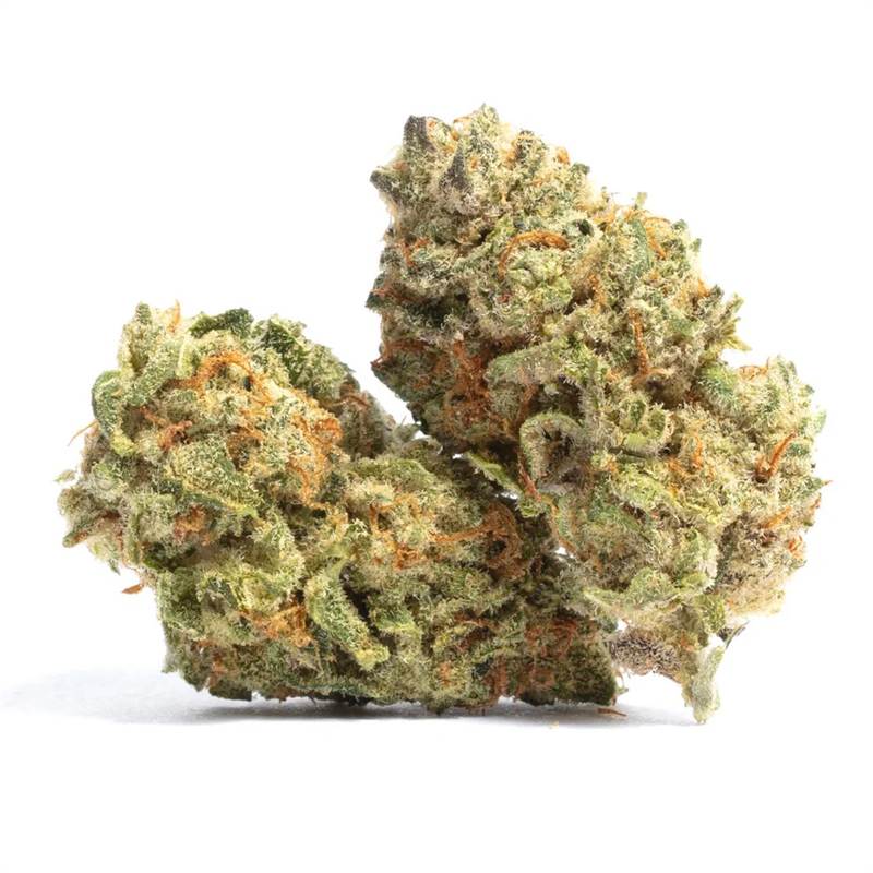 Bubble Gum Bud Image